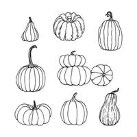 ensemble de citrouilles noir et blanc dessinés à la main. contour de dessin animé de légumes dans un style doodle. symbole de la récolte d'automne et d'halloween. vecteur