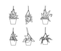 collection d'illustrations de plantes d'intérieur suspendues vecteur