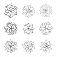 collection de plantes succulentes vue de dessus dessin illustrations vecteur