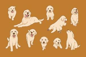 dessin animé ludique golden retriever chiot illustration solated vector set