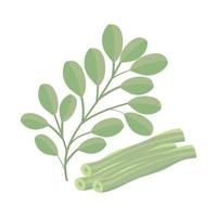 icône de feuilles de moringa vecteur