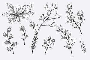 fleur feuilles doodle jeu d'illustration vectorielle dessinés à la main vecteur