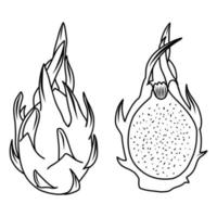 pitaya, pitahaya, fruit du dragon. croquis de vecteur sur fond blanc. illustration en noir et blanc.