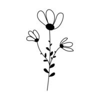 image silhouette de camomille. illustration vectorielle d'une fleur. fleurs et plantes vecteur