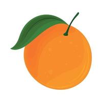 icône de fruits orange vecteur