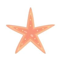 icône de la vie marine étoile de mer vecteur