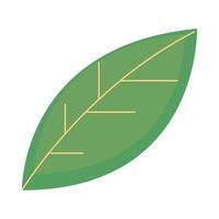 icône de la nature des feuilles vecteur