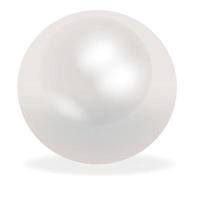 perle blanche naturelle réaliste sur fond.perle d'huître pour accessoires.illustration vectorielle réaliste.signe, symbole, icône ou logo isolé. vecteur