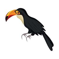 oiseau exotique toucan vecteur