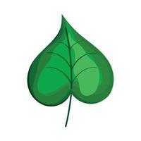 écologie feuille plante vert vecteur