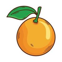 fruit frais citrique orange vecteur