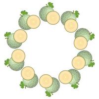 couronne de melon cantaloup vert avec un espace pour le texte. aliments sucrés biologiques de dessin animé. fruits d'été pour un mode de vie sain. illustration vectorielle pour toute conception. vecteur