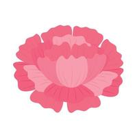 fleur rose nature vecteur