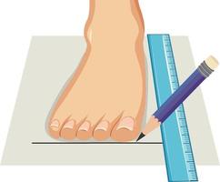 mesurer le vecteur de la taille du pied