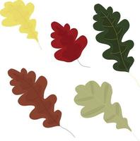 feuilles de chêne d'automne jaunes, rouges, vertes, brunes. illustration vectorielle isolée sur fond blanc. vecteur