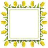 fond de modèle de bannière avec des tulipes jaunes. cadre carré de tulipes avec un espace pour le texte. bannière, carte de voeux, invitation, bon, dépliants, affiches, brochure, réduction de coupon. illustration vectorielle. vecteur