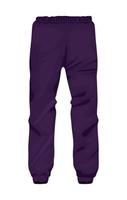 tenue de sport jogger violet vecteur