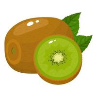 kiwi frais entier et demi avec des feuilles isolées sur fond blanc. fruits d'été pour un mode de vie sain. fruits bio. style bande dessinée. illustration vectorielle pour toute conception. vecteur