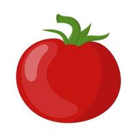 légume frais de tomate rouge isolé sur fond blanc. icône de tomate pour le marché, conception de recette. alimentation biologique. style plat de dessin animé. illustration vectorielle pour votre conception, web. vecteur