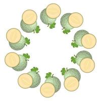 couronne de melon cantaloup vert avec un espace pour le texte. aliments sucrés biologiques de dessin animé. fruits d'été pour un mode de vie sain. illustration vectorielle pour toute conception. vecteur