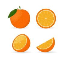 ensemble de fruits orange entiers, demi, quartiers et tranches vecteur