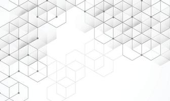 fond de boîtes abstraites. technologie moderne avec maille carrée. géométrique sur fond blanc avec des lignes. cellule de cube. illustration vectorielle vecteur