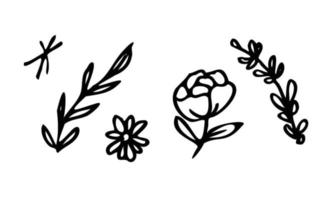 ensemble de conception d'illustration vectorielle simple fleur dessinée à la main vecteur
