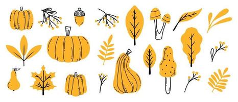 ensemble d'automne. citrouilles d'automne, feuilles, baies et champignons. style de griffonnage. collection de plantes d'automne. illustration vectorielle. vecteur