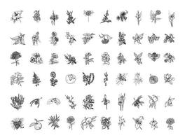 illustrations de plantes japonaises à l'encre d'art vecteur