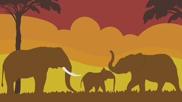 silhouette plein cadre famille d'éléphants dans les prairies sur fond multicolore. vecteur