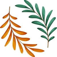 branche verte et orange, branche d'été et d'automne vecteur