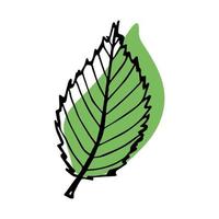 clipart de feuille de cerisier de vecteur. illustration de plante dessinée à la main vecteur