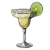 cocktail margarita, boisson alcoolisée dessinée à la main avec une tranche de citron vert et de sel. illustration vectorielle vecteur