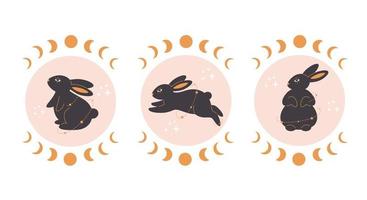lapin mignon avec astrologie et éléments ésotériques. lapin magicien. année du lapin 2023. vecteur