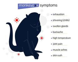 symptômes de la variole du singe. affiche d'information. infographie de la variole du singe vecteur