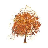 illustration de l'arbre d'automne vecteur