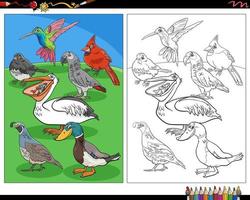 dessin animé oiseaux personnages animaux coloriage vecteur