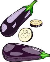 légume aubergine, vecteur aubergine mûre isolé sur fond blanc