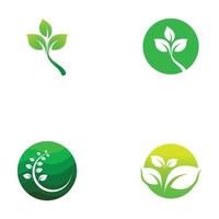 symbole et images du logo de l'écologie des feuilles naturelles vecteur