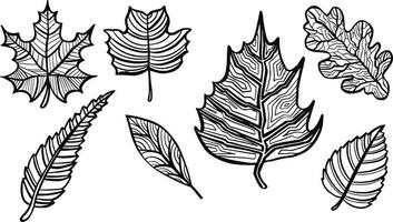 motif de feuilles d'automne, fond transparent et illustration vecteur