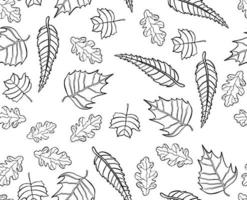 motif de feuilles d'automne, fond transparent et illustration vecteur