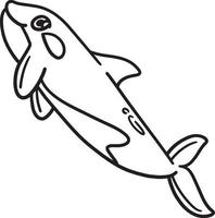 Page de coloriage isolée orque pour les enfants vecteur