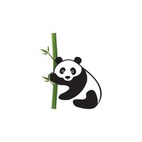 panda icône illustration vectorielle conception de symbole vecteur