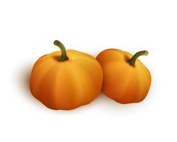 deux citrouilles orange d'automne pour halloween ou thanksgiving vecteur