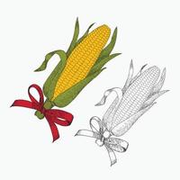 vecteur de maïs dessiné à la main pour la page de livres à colorier