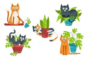 les chats jouent avec des fleurs en pot. chats farceurs. illustration vectorielle vecteur