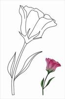fleur d'eustoma, lisianthus en illustration vectorielle de style doodle pour livre de coloriage, pages à colorier.ai vecteur