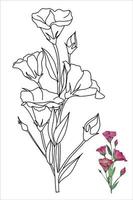 fleur d'eustoma doodle, illustration vectorielle lisianthus pour livre de coloriage, pages à colorier pour enfants et adultes vecteur