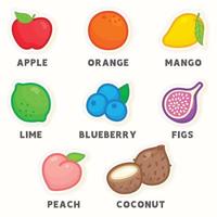 vocabulaire sur le graphique de diagramme de fruits arc-en-ciel en anglais sujet kawaii doodle vecteur dessin animé