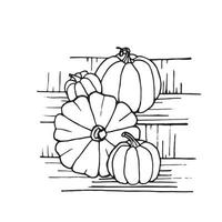 citrouilles noires et blanches dessinées à la main. contour de dessin animé de légumes dans un style doodle. symbole de la récolte d'automne et d'halloween. vecteur